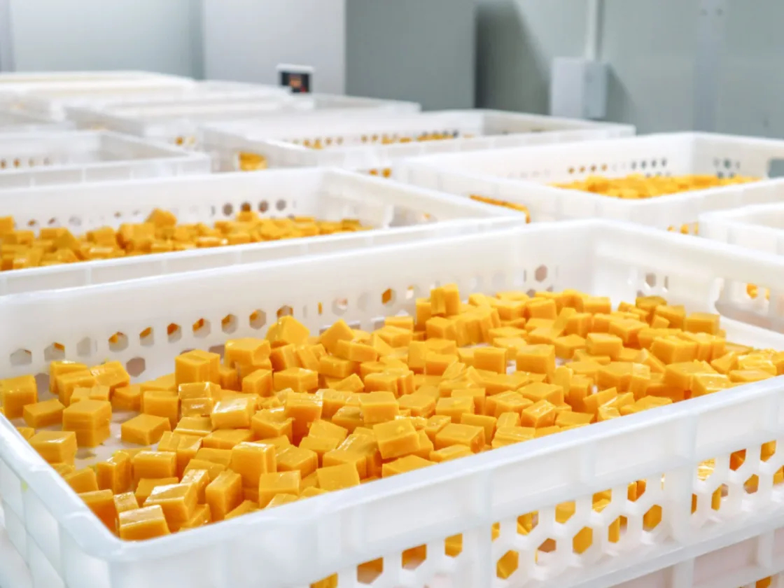 High-Capacity Production Line